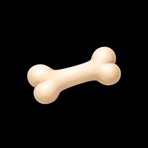 Pet Food & Accessories